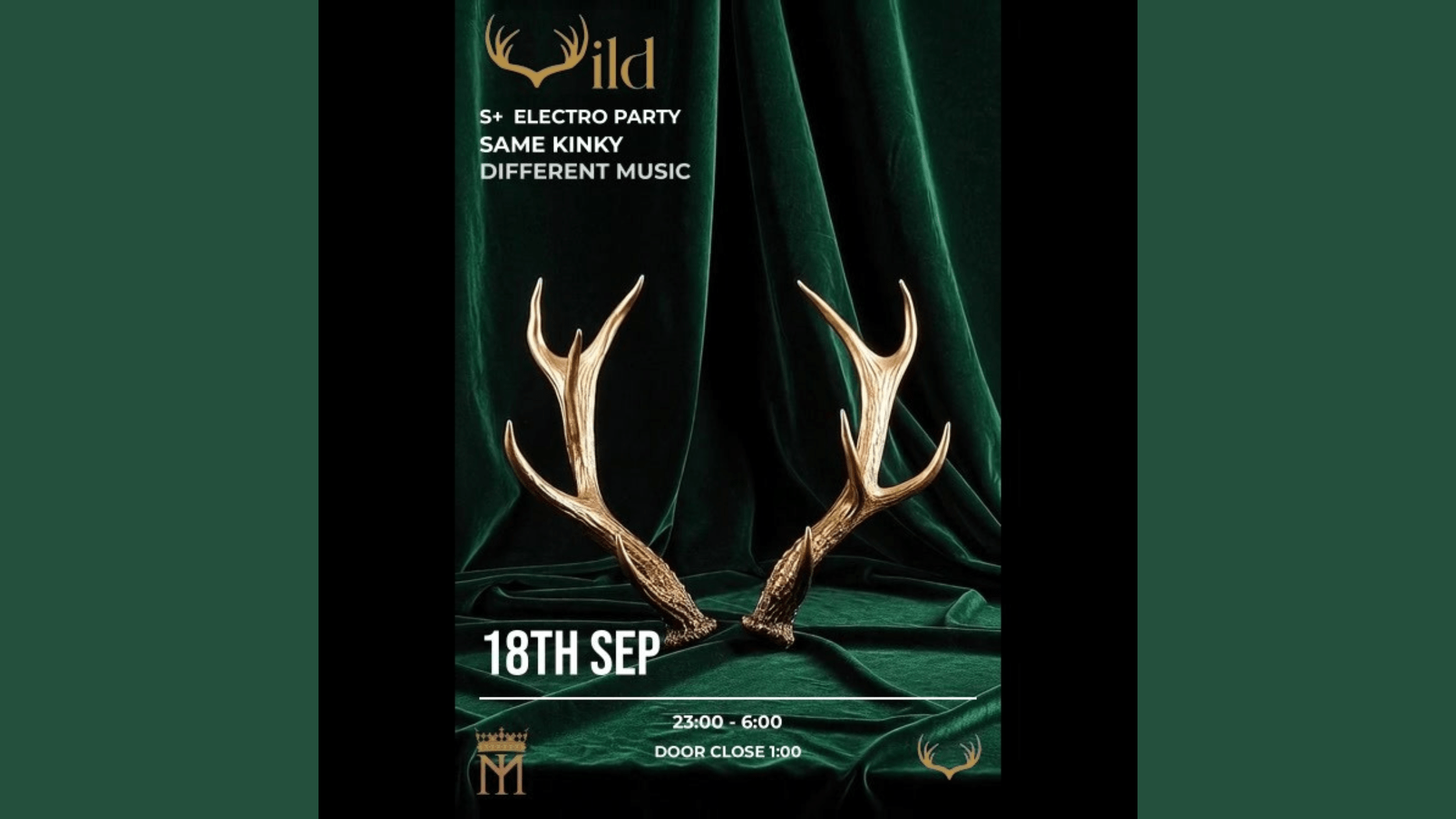 Wild: electro, estética kinky y una noche fuera de lo convencional.